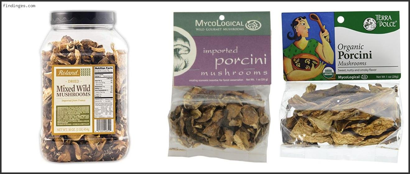 Best Dried Porcini Mushrooms