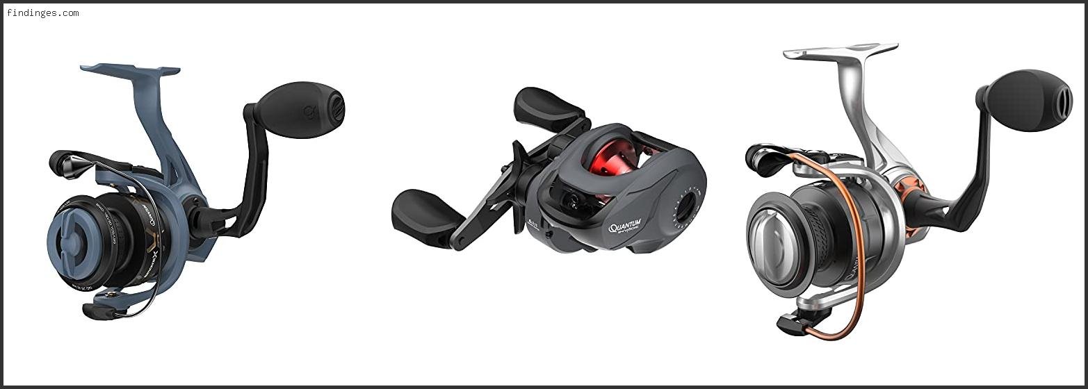 Top 10 Best Quantum Reel Based On User Rating Findinges