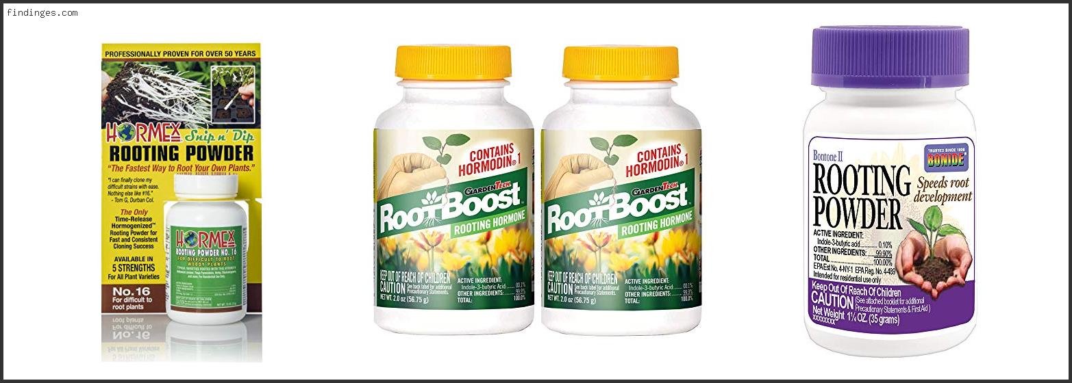 Best Rooting Hormone Powder