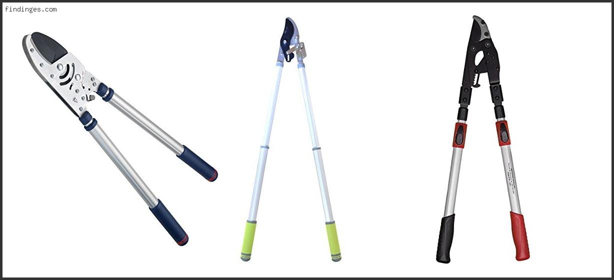 Top 10 Best Ratcheting Loppers With Buying Guide