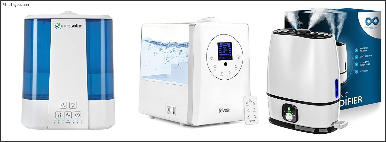 Top 10 Best Dual Mist Humidifier Reviews With Products List