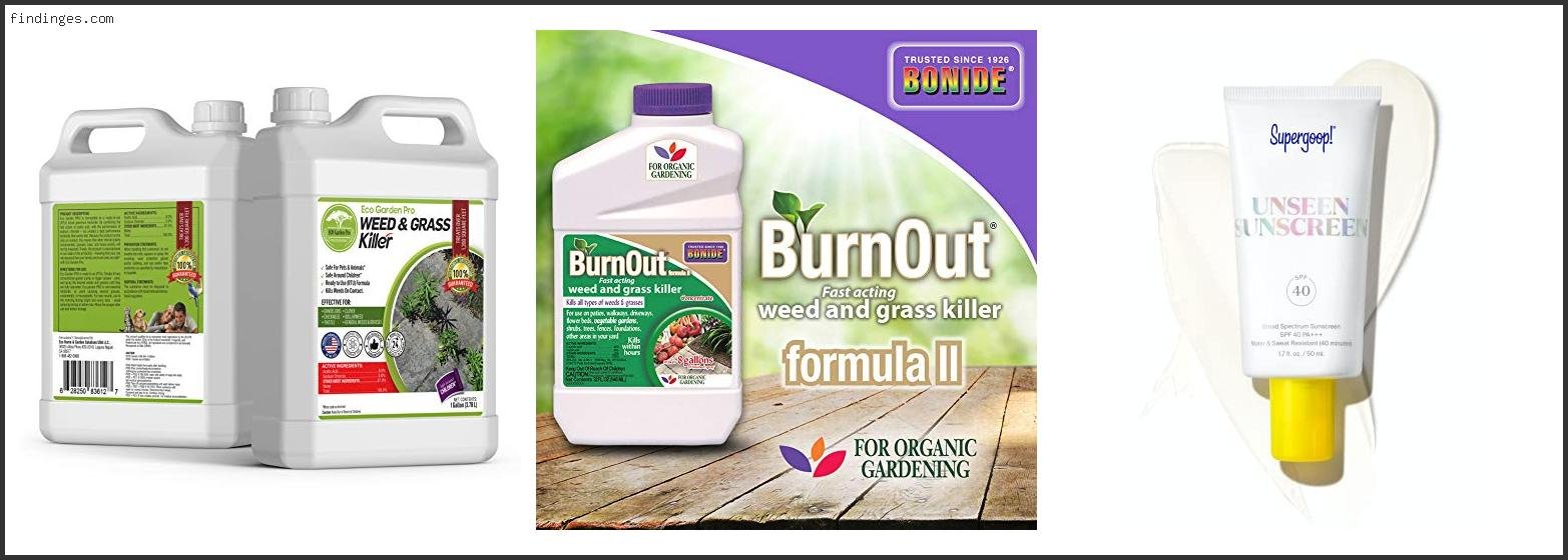 Top 10 Best Burnout Mixture Reviews With Products List